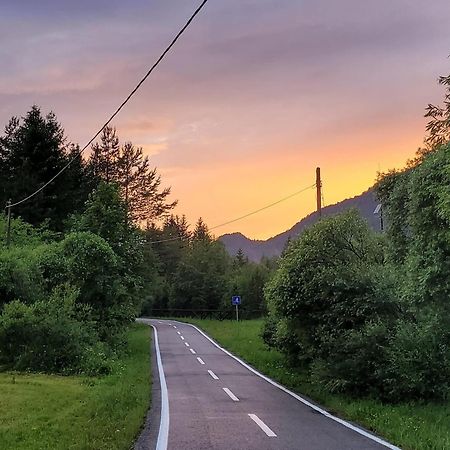 Guest House Vila Moj Mir Ratece Bagian luar foto