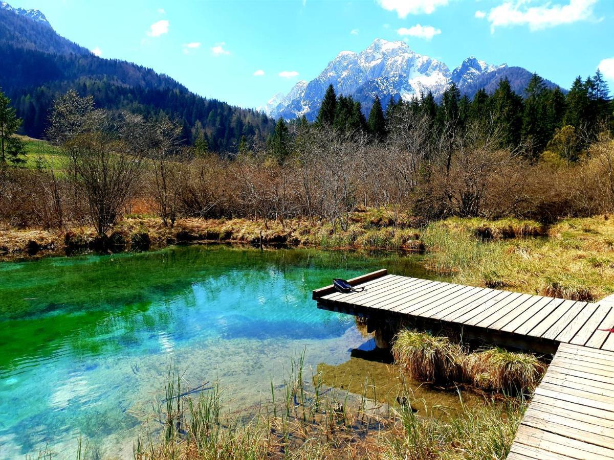 Guest House Vila Moj Mir Ratece Bagian luar foto